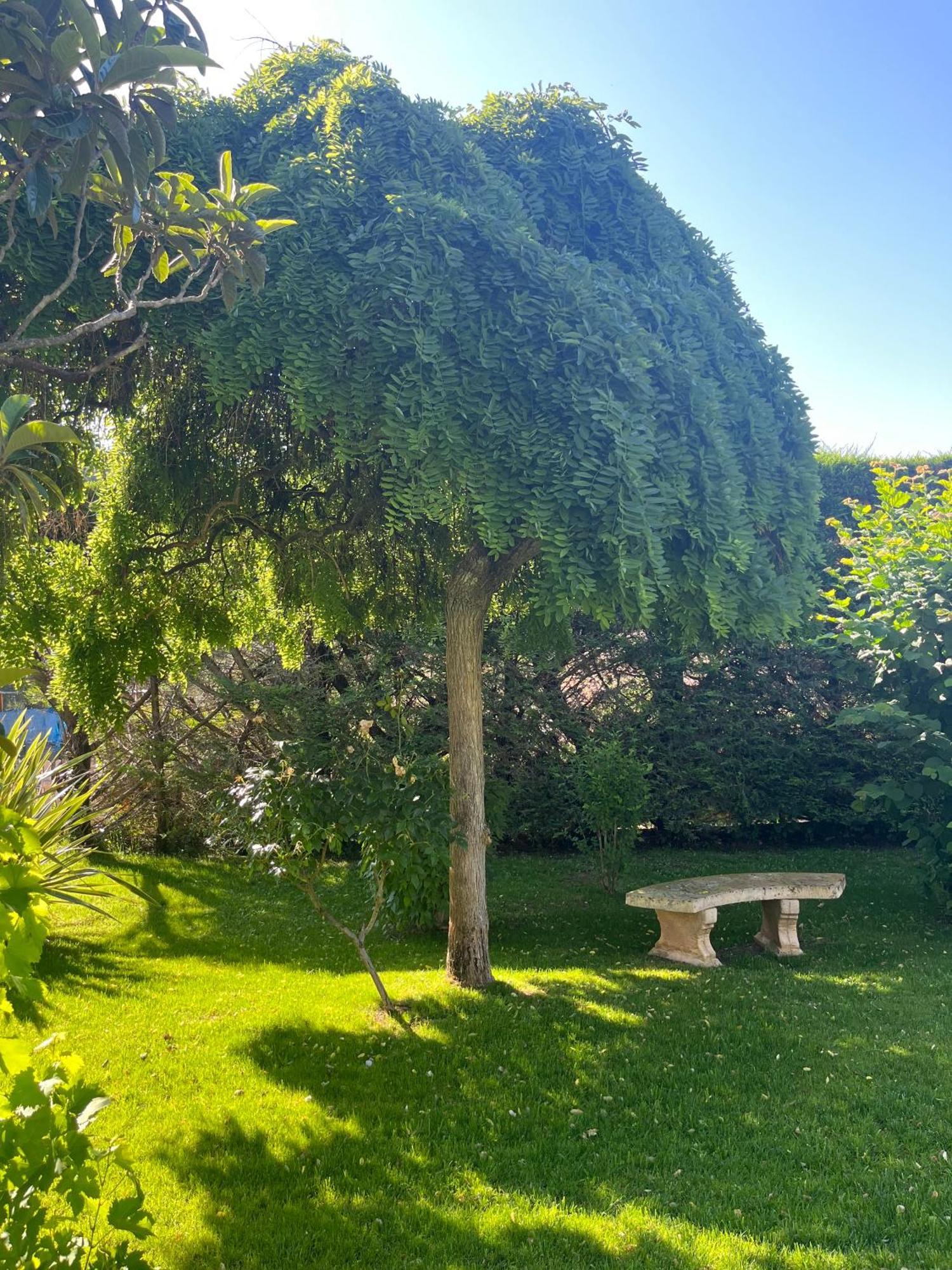 Le Clos Serein Le Beausset Exterior photo